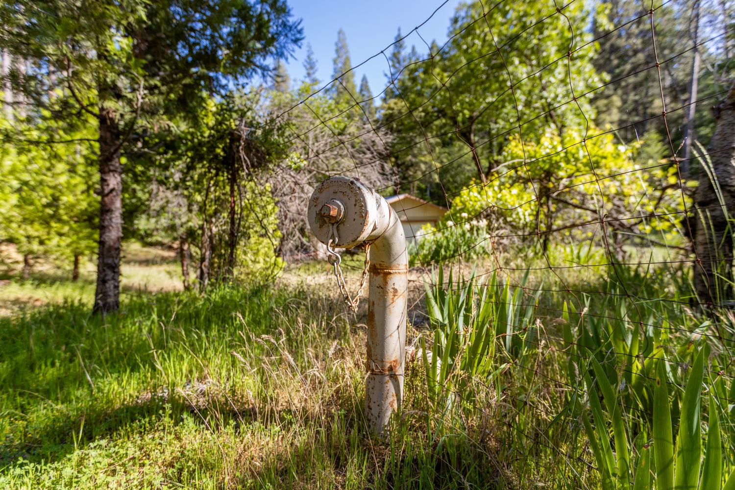 Gold Starr Lane, Grass Valley, California image 41
