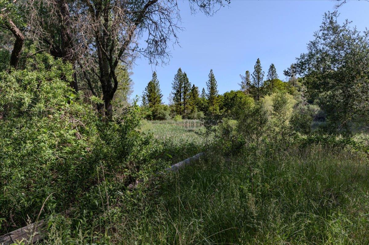Detail Gallery Image 28 of 41 For 11076 Houghton Ranch Rd, Penn Valley,  CA 95946 - – Beds | – Baths