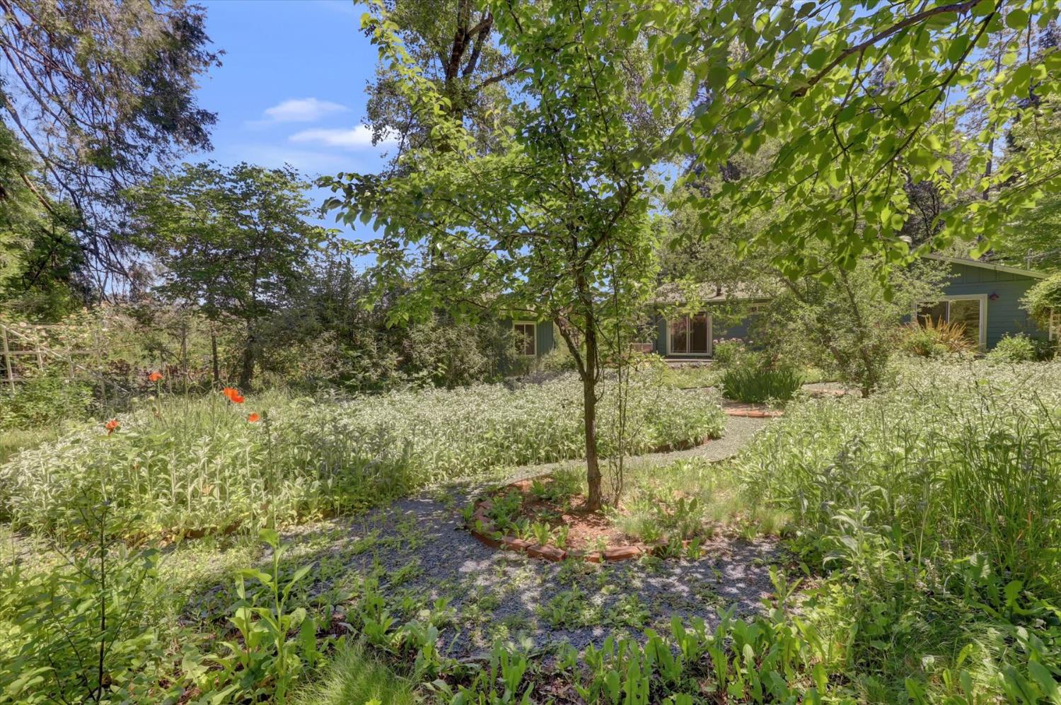 Detail Gallery Image 51 of 69 For 10808 Footwall Dr, Grass Valley,  CA 95945 - 2 Beds | 2/1 Baths