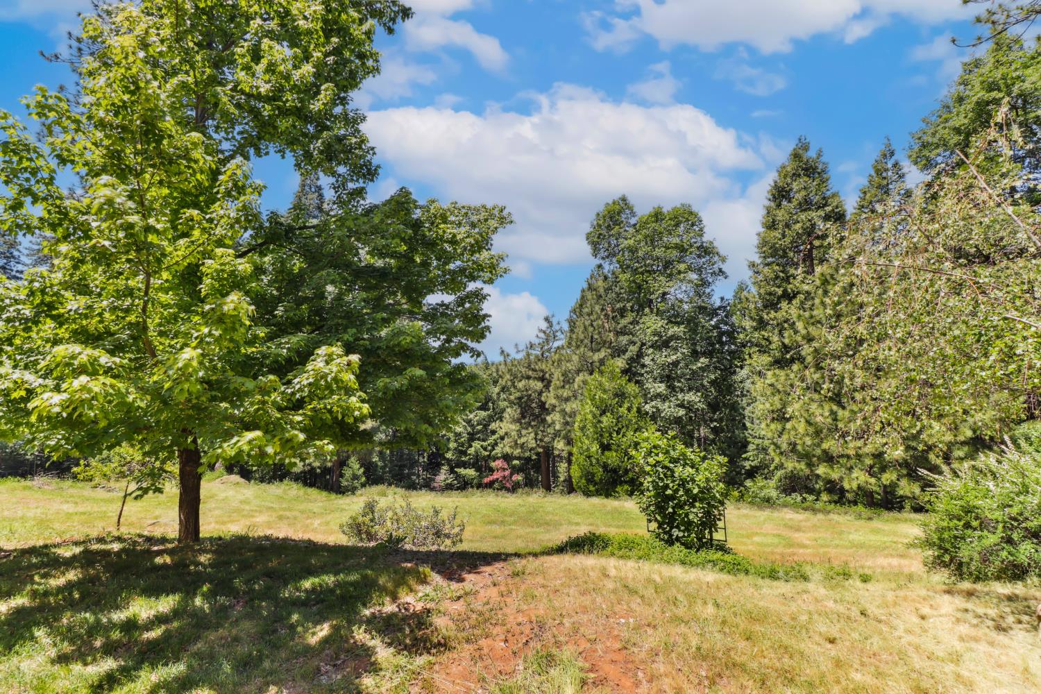 Detail Gallery Image 53 of 72 For 6003 Dolly Varden Ln, Pollock Pines,  CA 95726 - 3 Beds | 2 Baths