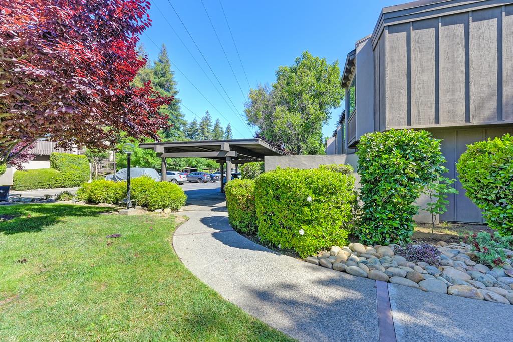 Photo #51: 225066919 Listing: Photo #51