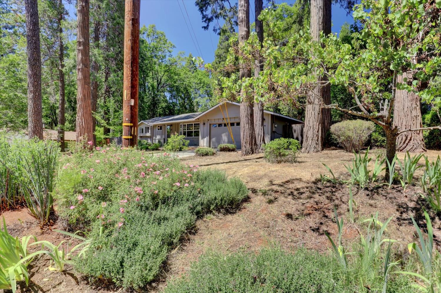 Detail Gallery Image 44 of 69 For 12742 Butterfly Dr, Nevada City,  CA 95959 - 2 Beds | 2 Baths