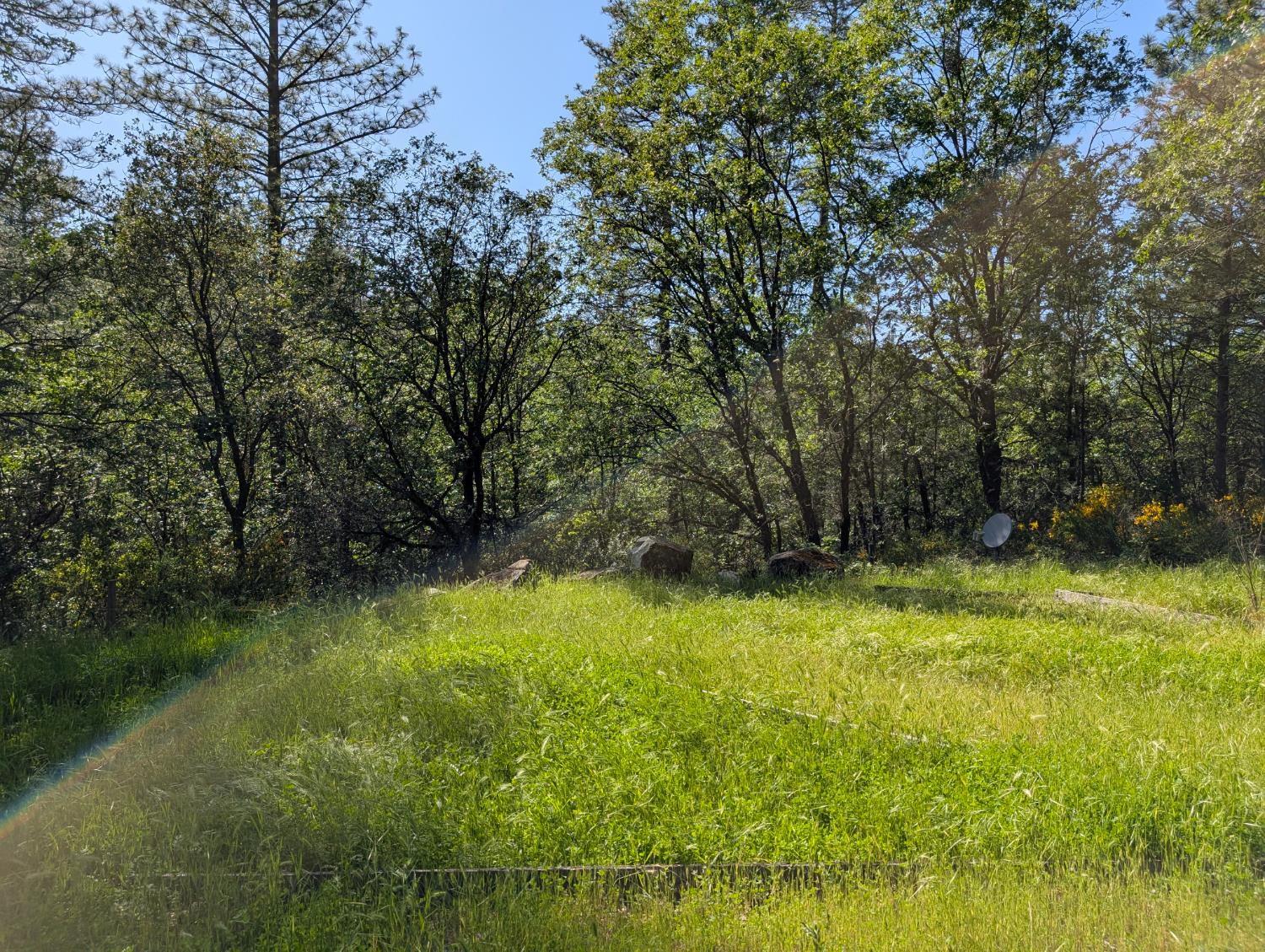 Detail Gallery Image 23 of 46 For 12898 Rices Crossing Rd, Oregon House,  CA 95962 - 4 Beds | 3 Baths