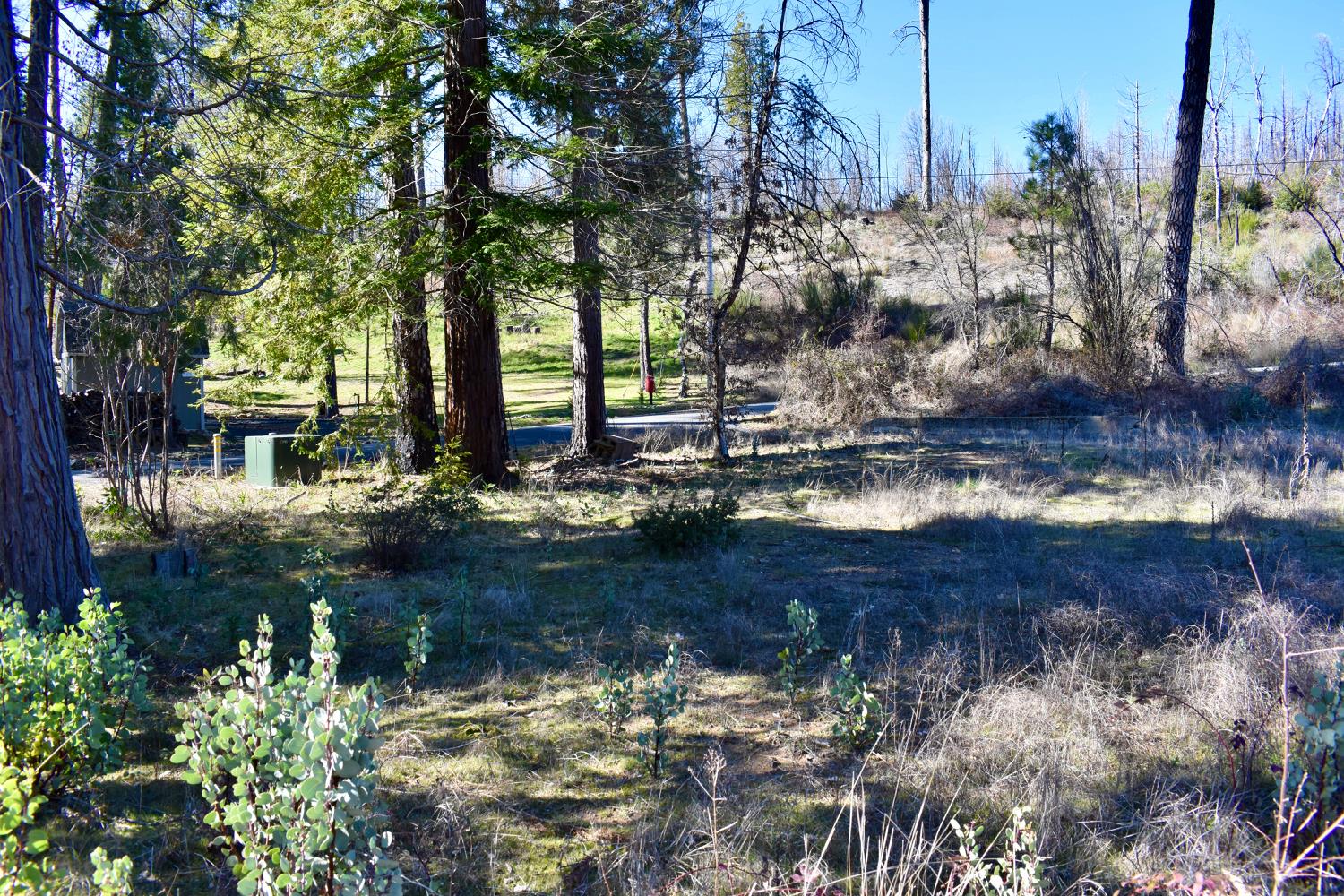 Detail Gallery Image 1 of 30 For 20 Sw Meadow Ln, Berry Creek,  CA 95916 - – Beds | – Baths