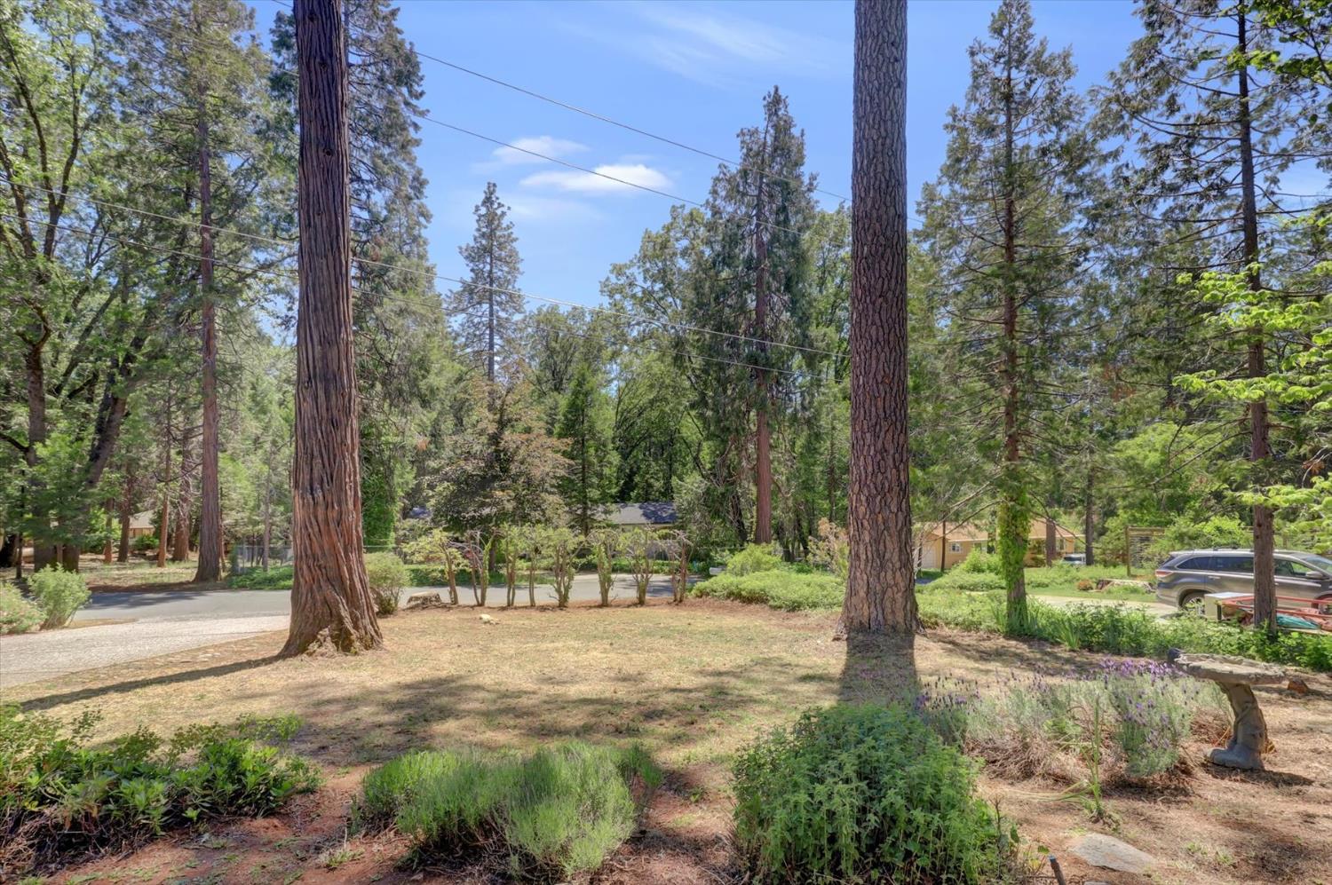 Detail Gallery Image 47 of 69 For 12742 Butterfly Dr, Nevada City,  CA 95959 - 2 Beds | 2 Baths