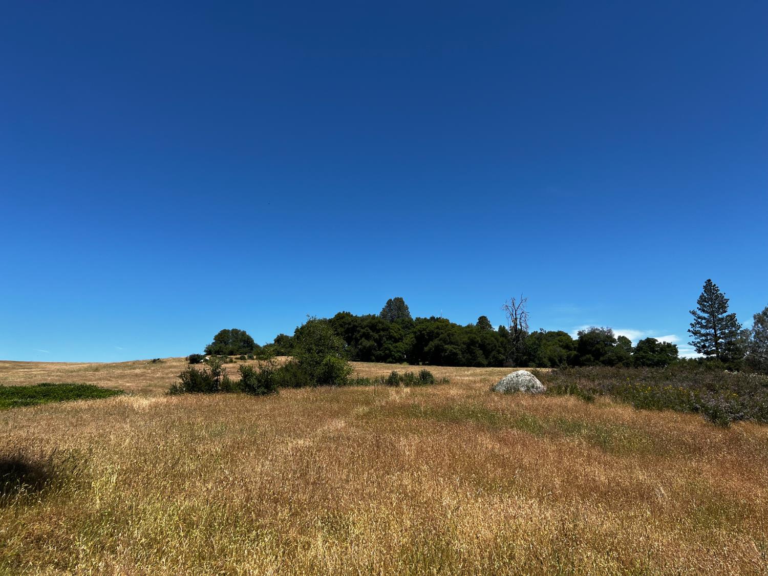 Detail Gallery Image 49 of 57 For 7300 Fairplay Rd, Somerset,  CA 95684 - – Beds | – Baths