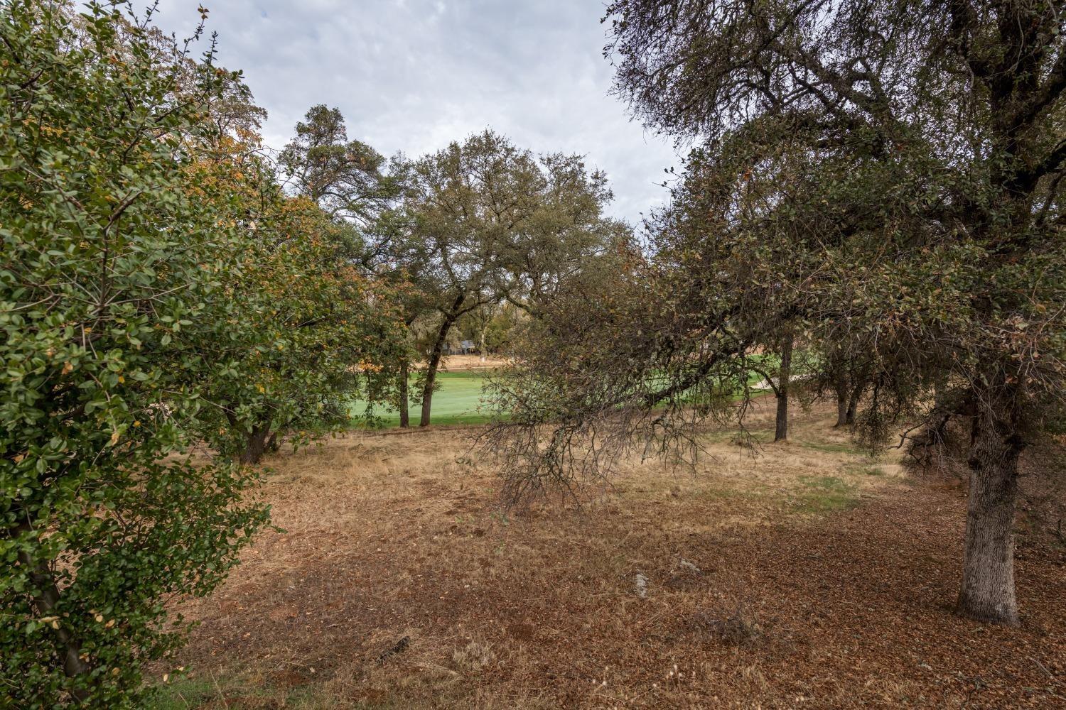 Detail Gallery Image 5 of 13 For 23414 Alexis Dr, Auburn,  CA 95602 - – Beds | – Baths