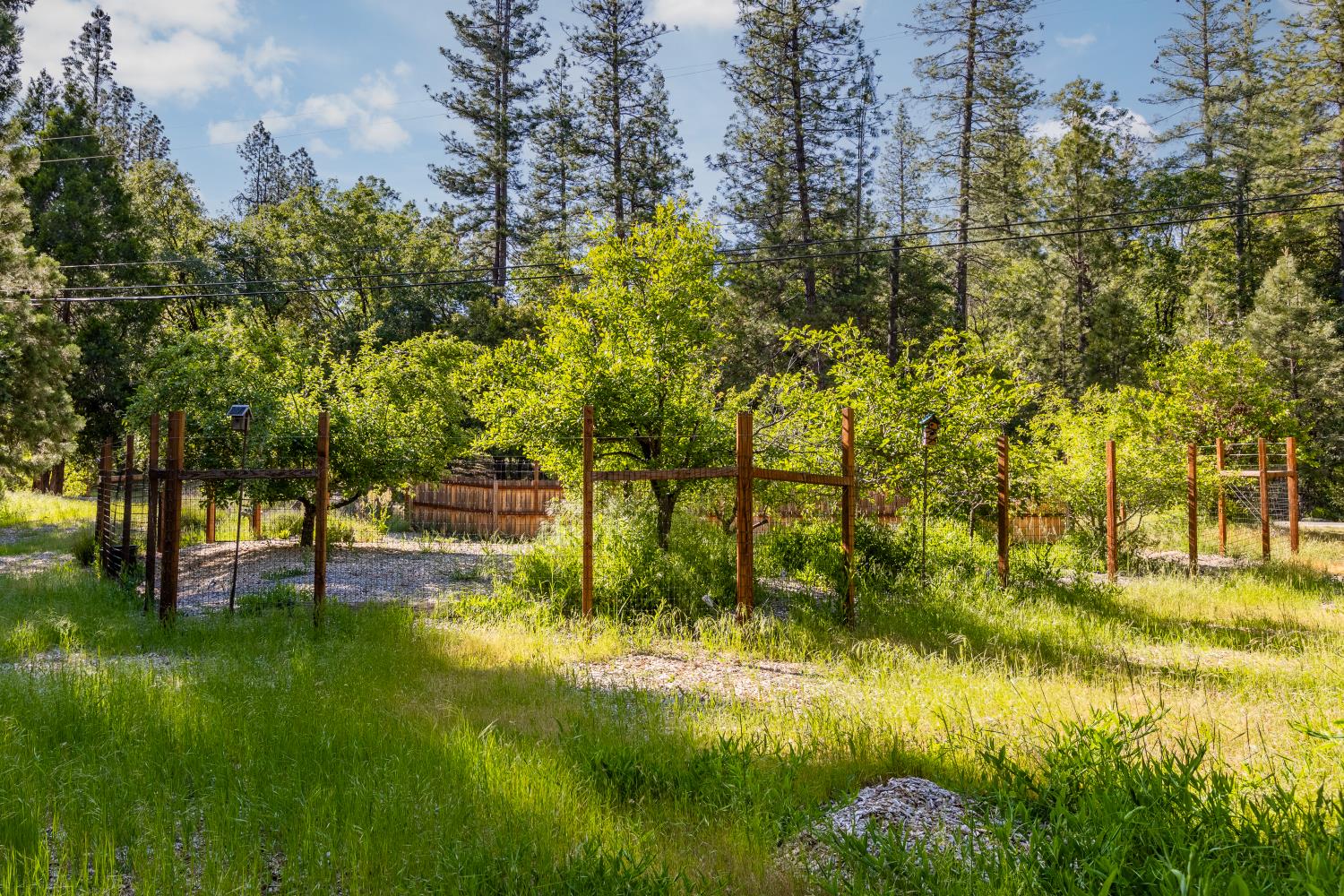 Gold Starr Lane, Grass Valley, California image 40