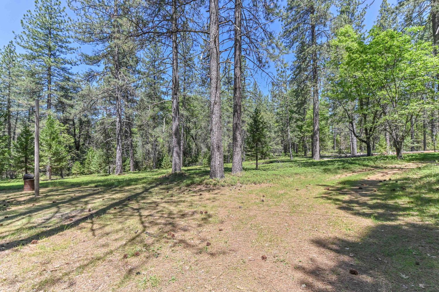 Detail Gallery Image 25 of 31 For 1216 Railroad Flat Rd, Mokelumne Hill,  CA 95245 - 1 Beds | 1 Baths