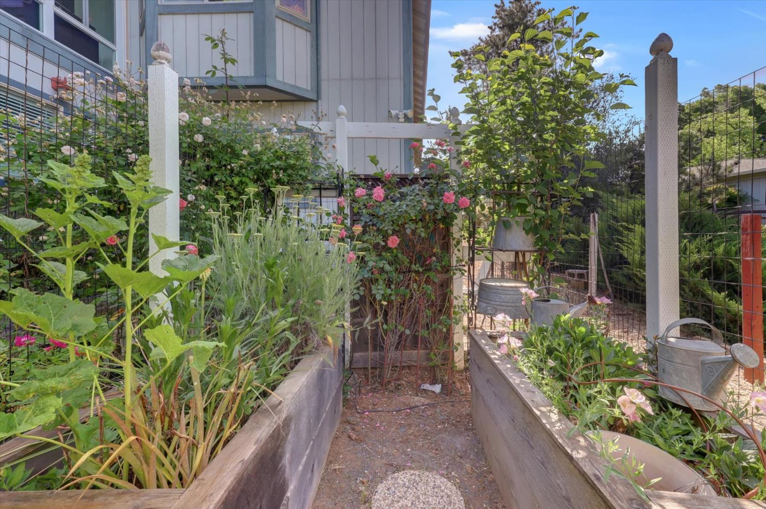 Detail Gallery Image 77 of 98 For 23158 Lone Pine Dr, Auburn,  CA 95602 - 4 Beds | 4 Baths