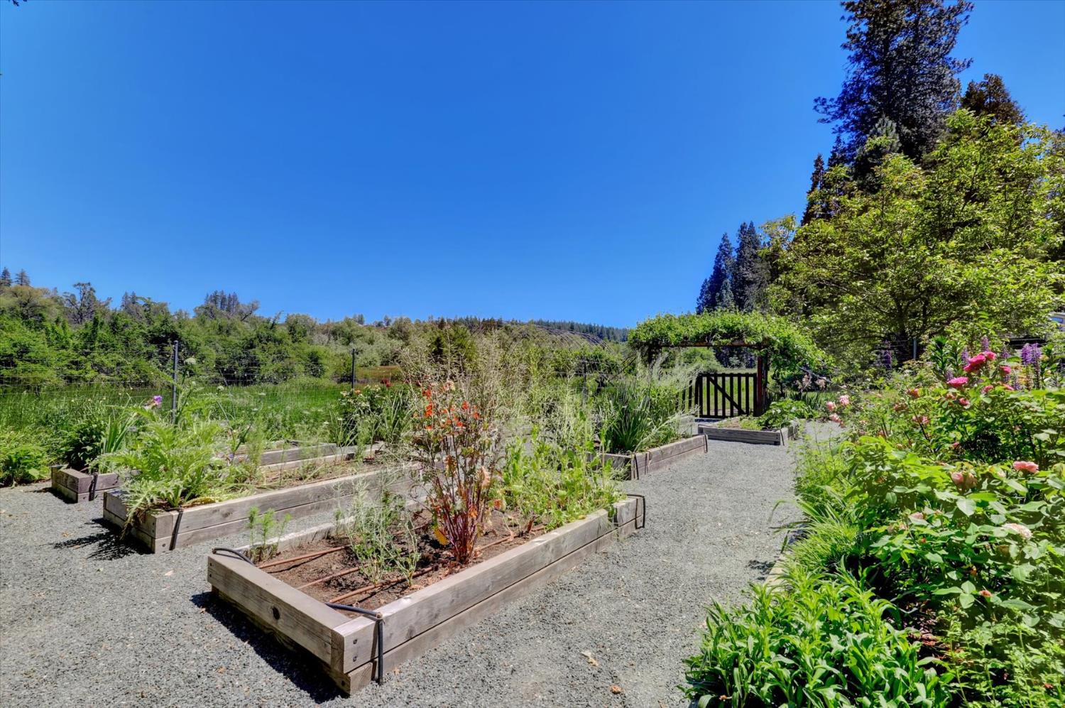 Detail Gallery Image 61 of 69 For 10808 Footwall Dr, Grass Valley,  CA 95945 - 2 Beds | 2/1 Baths