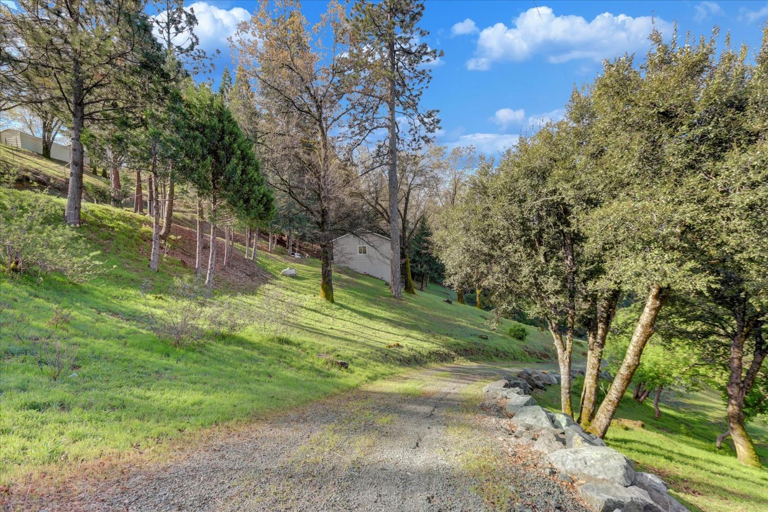 Detail Gallery Image 67 of 90 For 15690 Fay Rd, Grass Valley,  CA 95949 - 3 Beds | 2 Baths