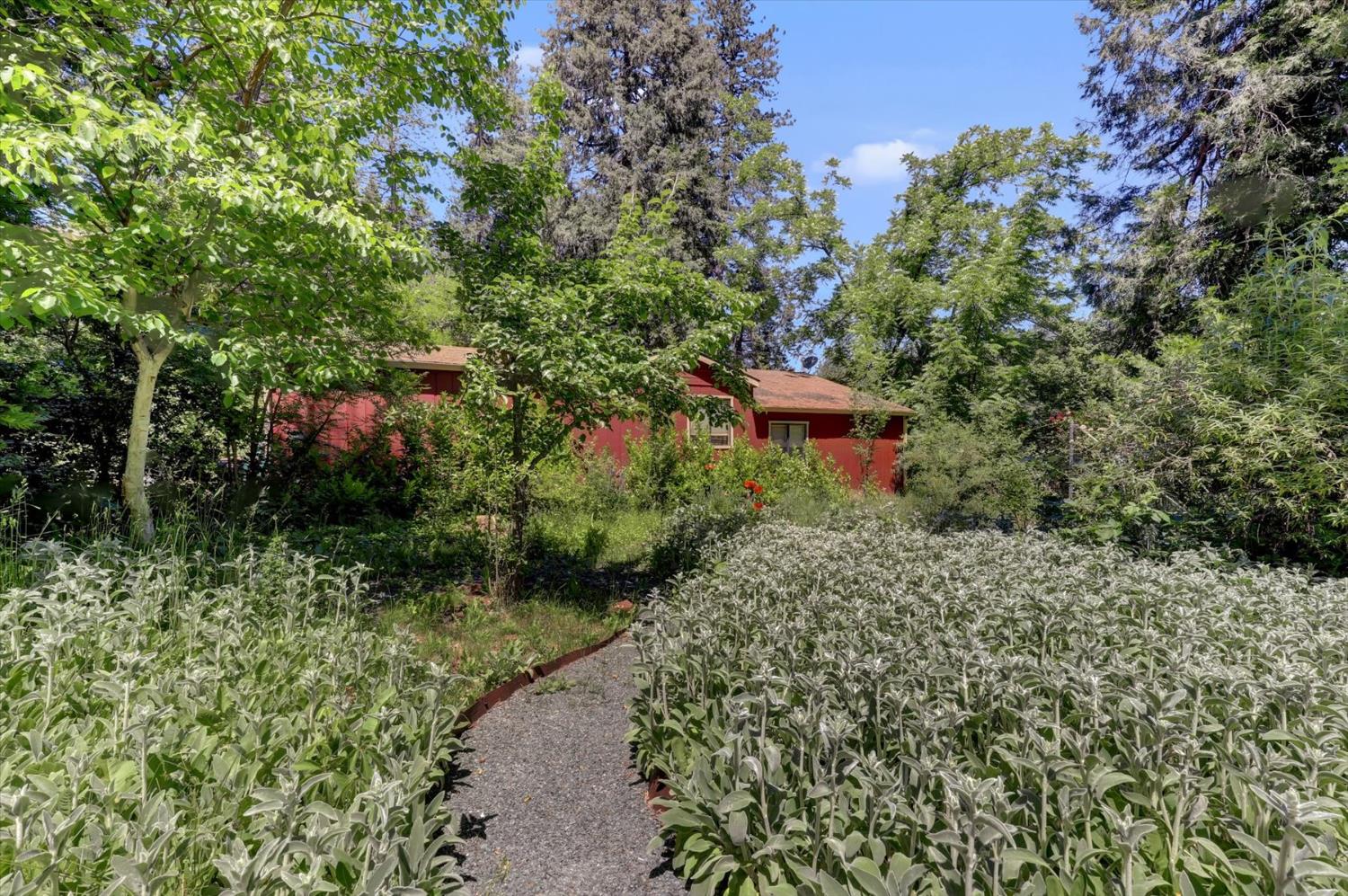 Detail Gallery Image 50 of 69 For 10808 Footwall Dr, Grass Valley,  CA 95945 - 2 Beds | 2/1 Baths