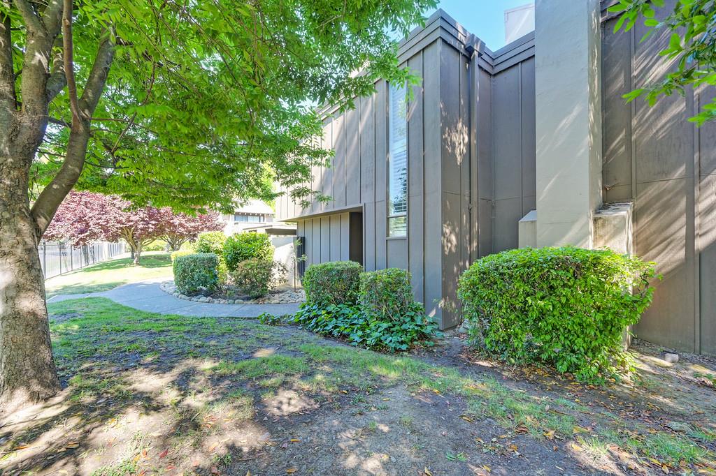 Photo #52: 225066919 Listing: Photo #52
