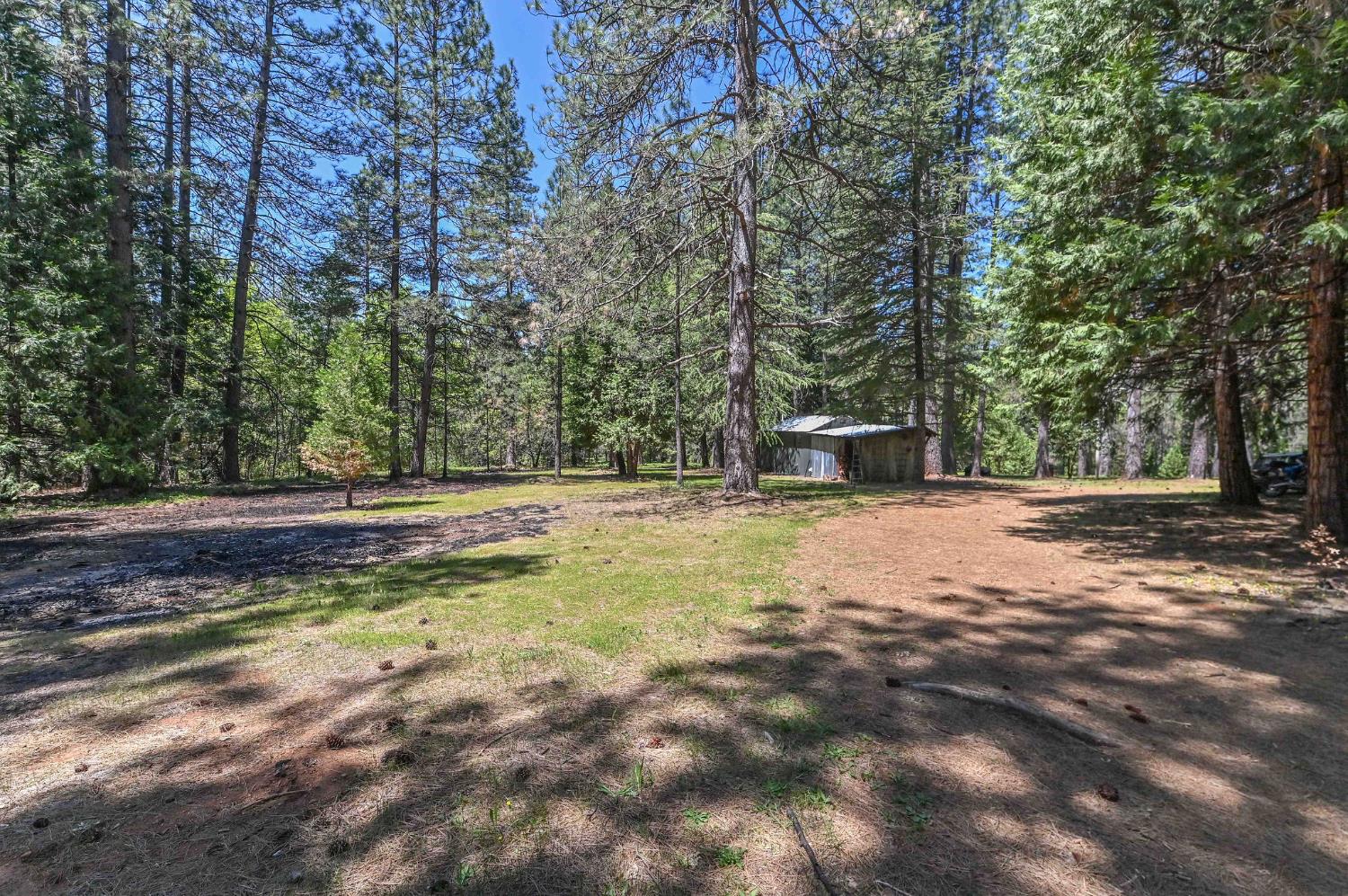 Detail Gallery Image 23 of 31 For 1216 Railroad Flat Rd, Mokelumne Hill,  CA 95245 - 1 Beds | 1 Baths