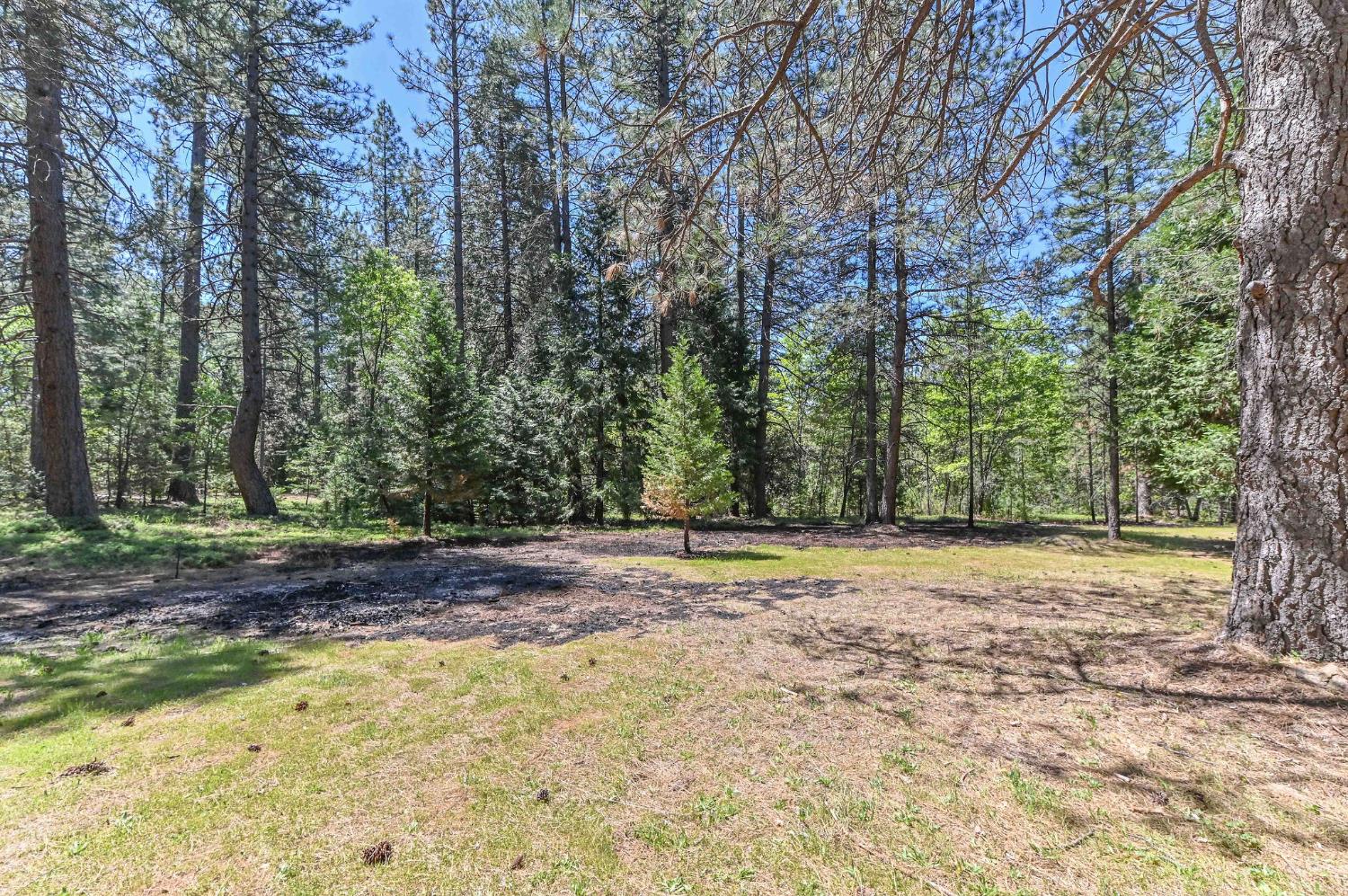 Detail Gallery Image 24 of 31 For 1216 Railroad Flat Rd, Mokelumne Hill,  CA 95245 - 1 Beds | 1 Baths