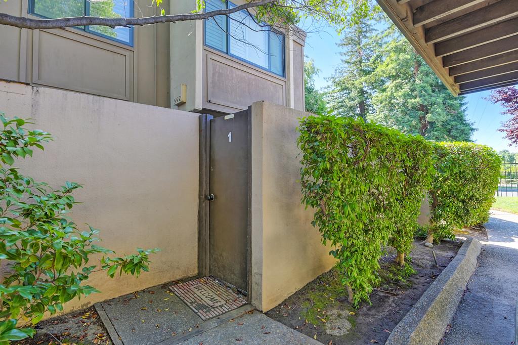 Photo #50: 225066919 Listing: Photo #50
