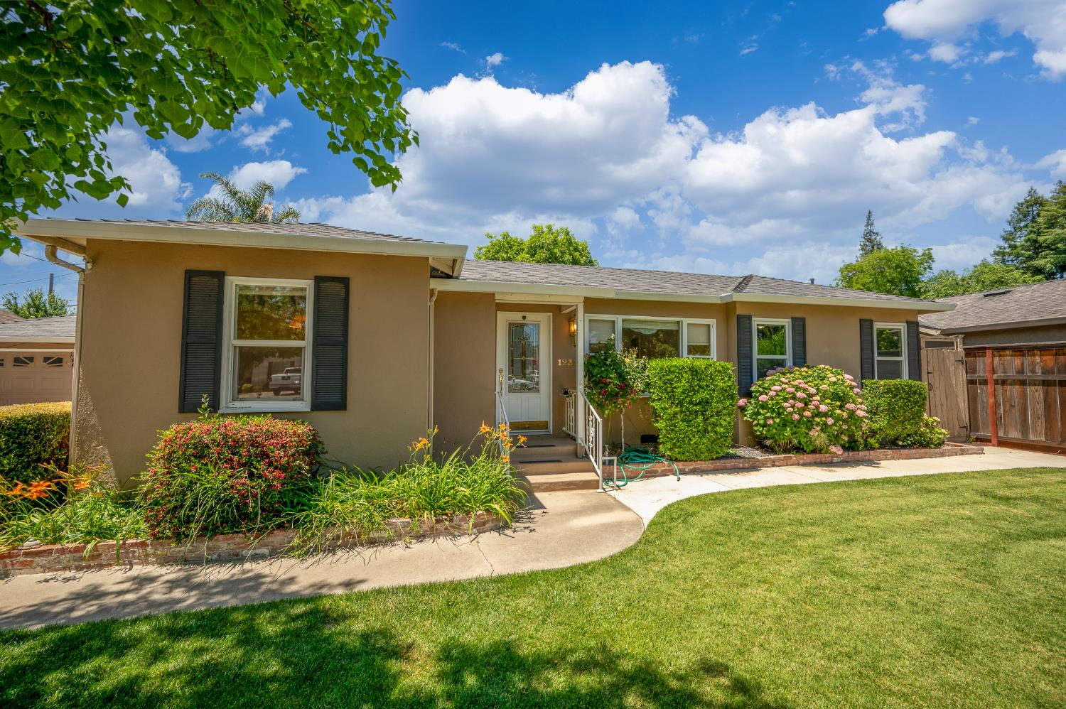Sycamore, Modesto, California image 1