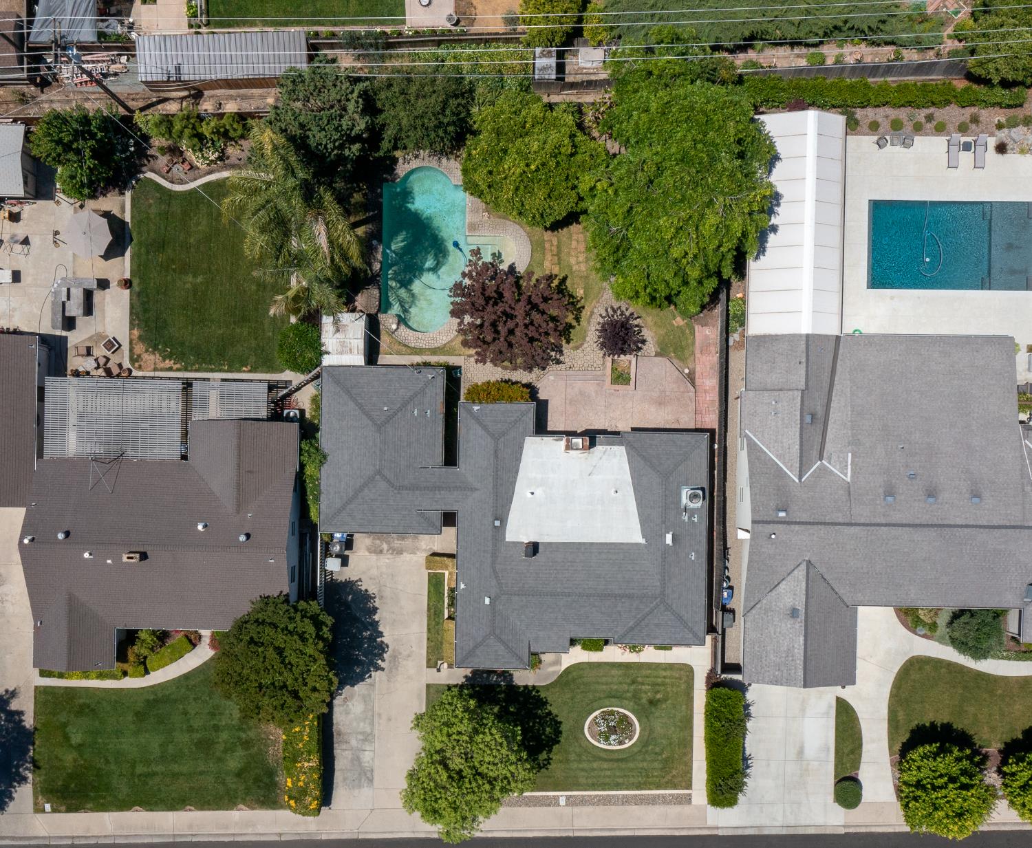 Sycamore, Modesto, California image 44