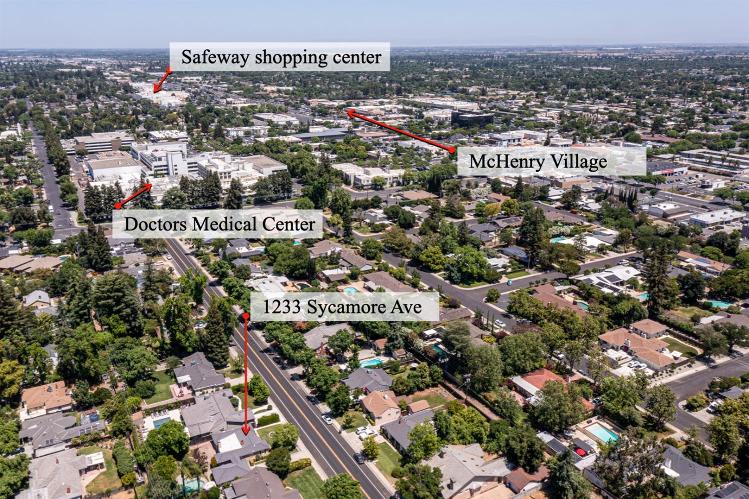 Sycamore, Modesto, California image 12