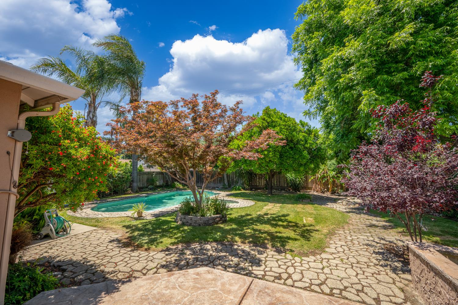 Sycamore, Modesto, California image 35