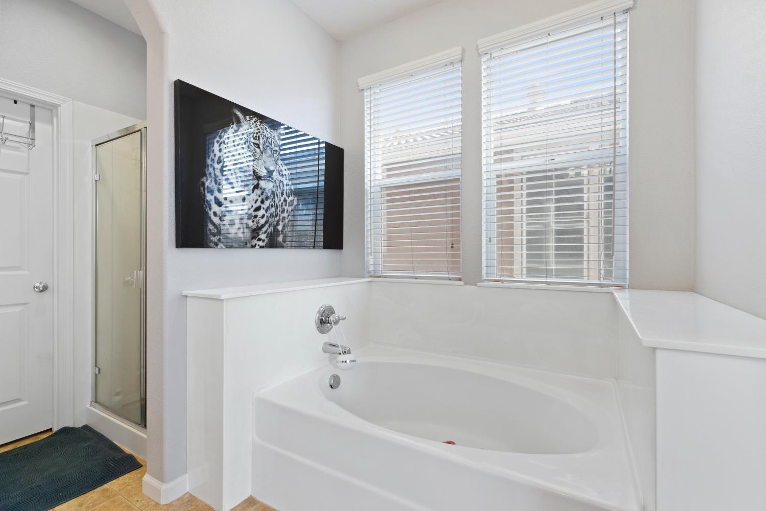 Detail Gallery Image 24 of 33 For 2816 Hawaiian Petrel Ave, Modesto,  CA 95355 - 3 Beds | 2/1 Baths