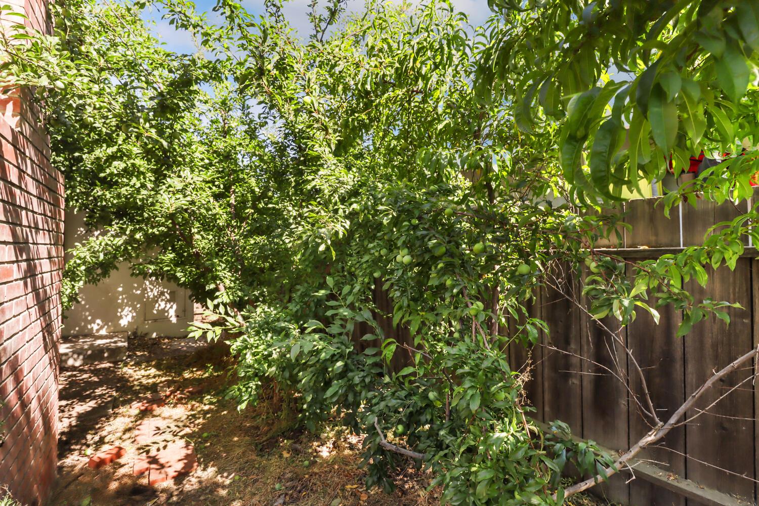 Archer Drive, Woodland, California image 36