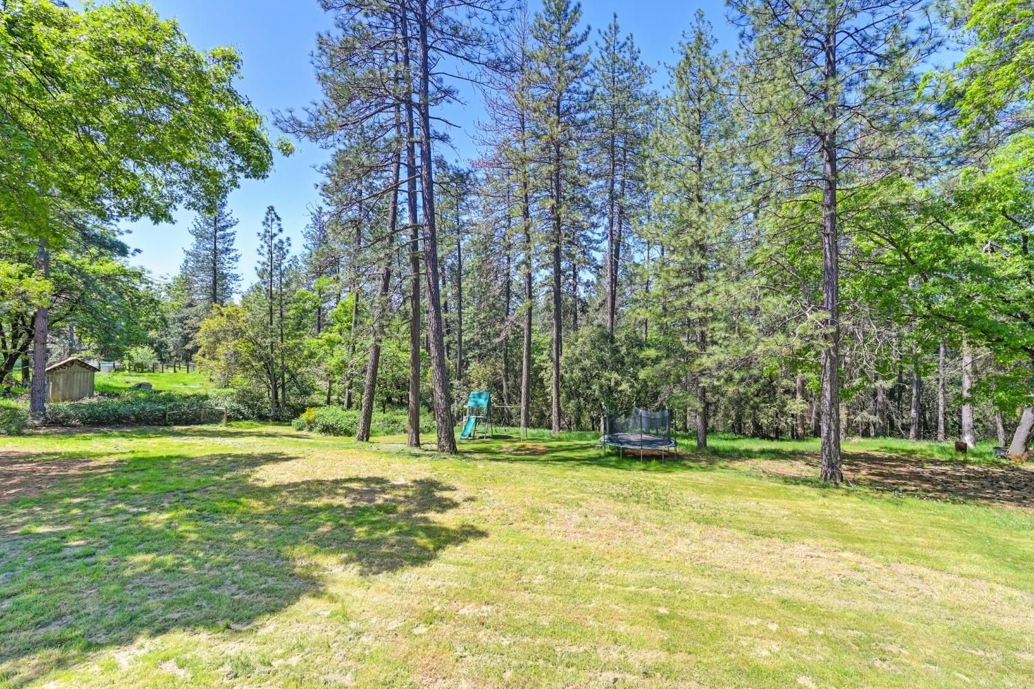 Detail Gallery Image 36 of 52 For 1788 Edgewater Ct, Greenwood,  CA 95635 - 3 Beds | 2 Baths