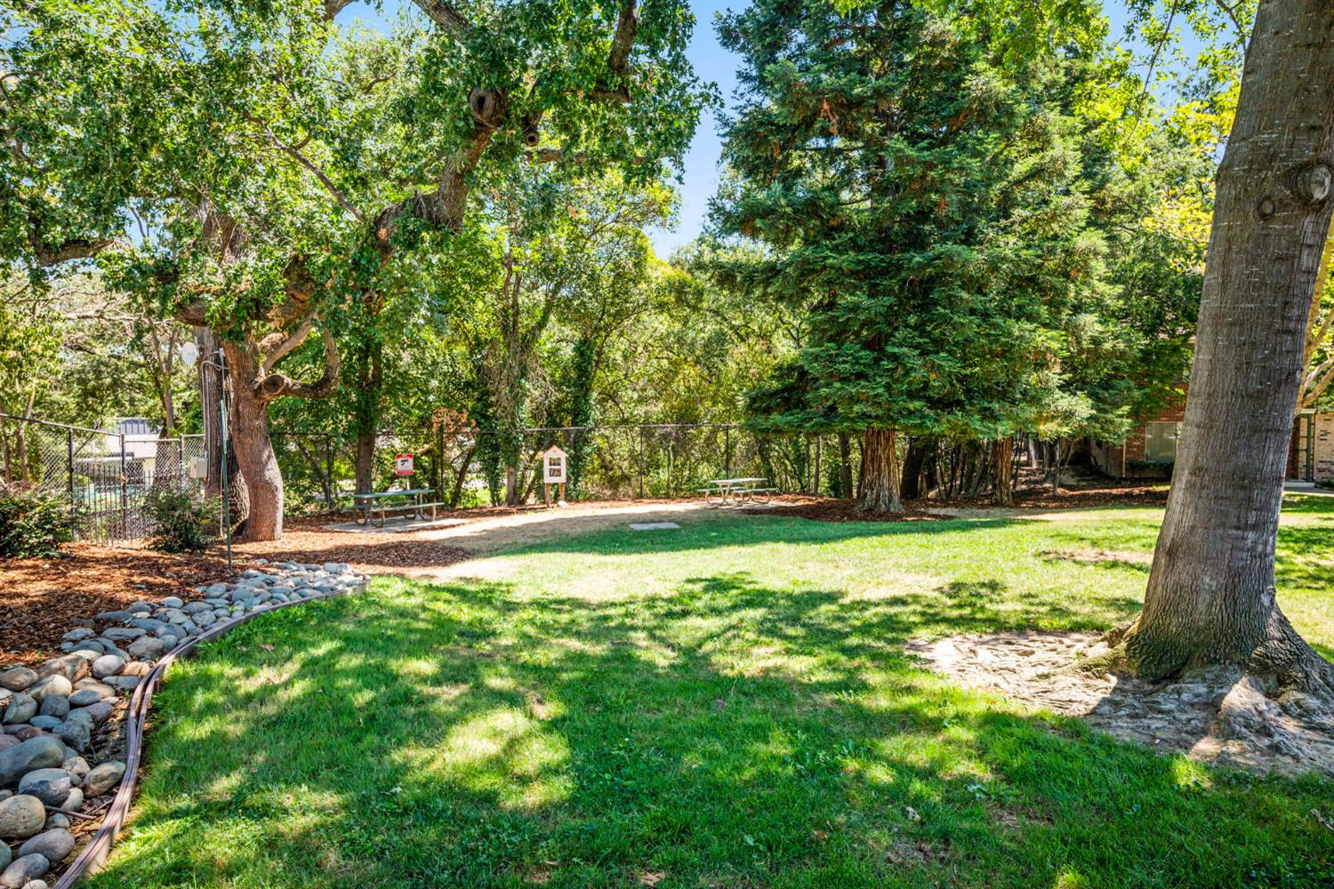 Photo #36: 225065522 Listing: Photo #36