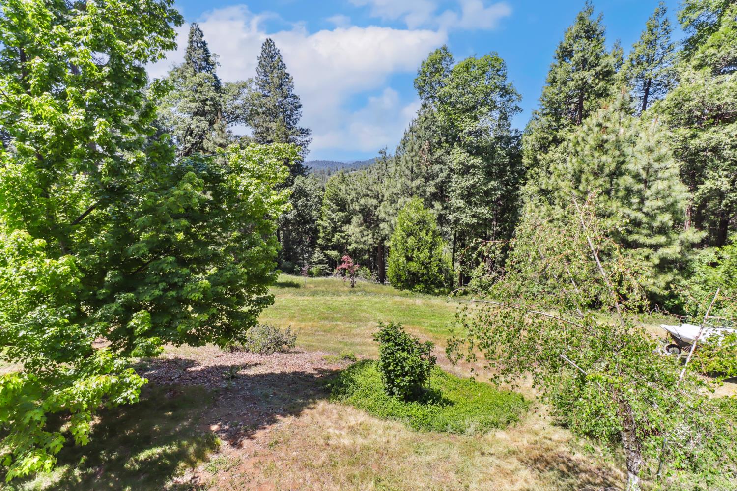 Detail Gallery Image 50 of 72 For 6003 Dolly Varden Ln, Pollock Pines,  CA 95726 - 3 Beds | 2 Baths
