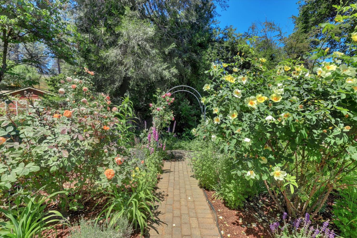 Detail Gallery Image 57 of 69 For 10808 Footwall Dr, Grass Valley,  CA 95945 - 2 Beds | 2/1 Baths