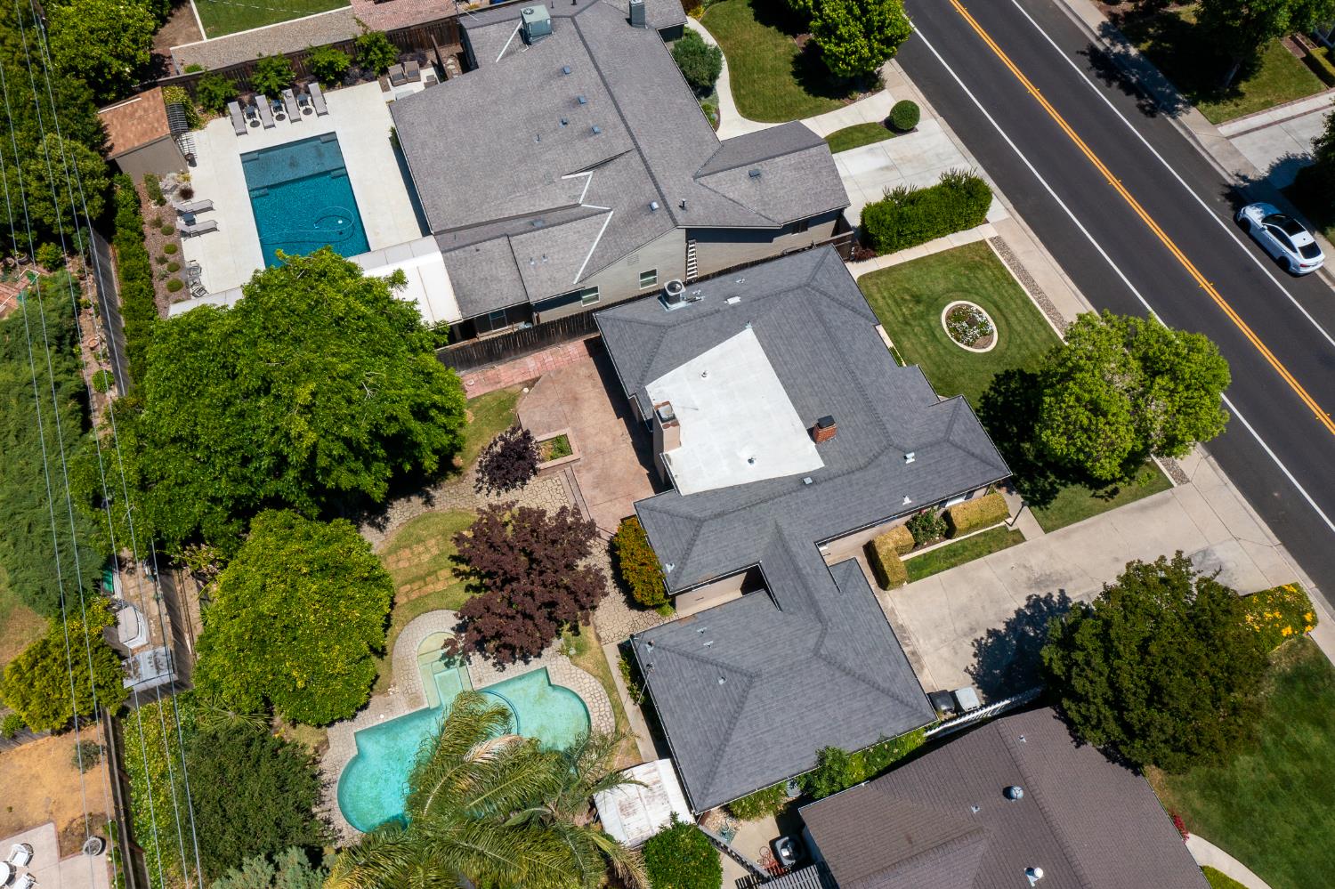 Sycamore, Modesto, California image 43