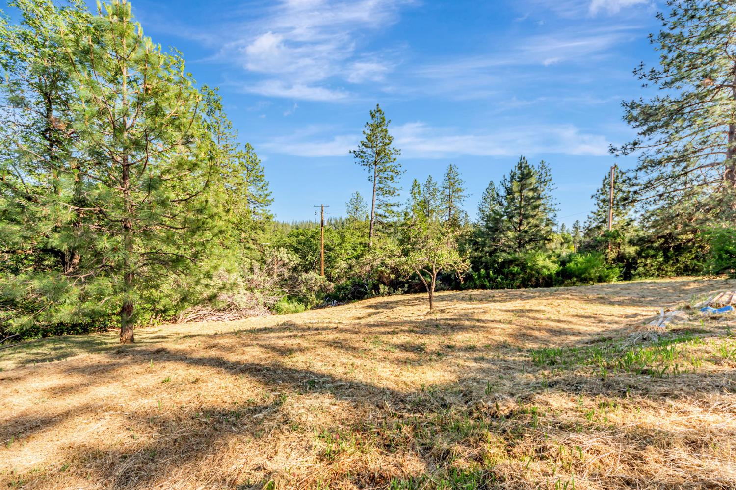 Detail Gallery Image 78 of 85 For 305 Nob Hill Dr, Applegate,  CA 95703 - 4 Beds | 2/1 Baths