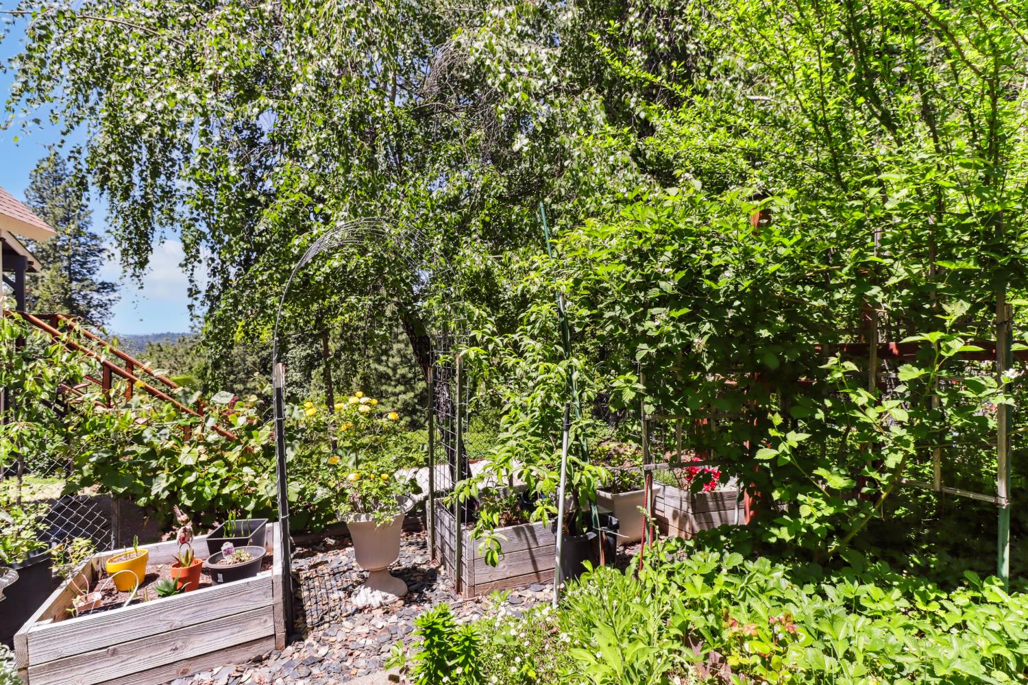 Detail Gallery Image 57 of 72 For 6003 Dolly Varden Ln, Pollock Pines,  CA 95726 - 3 Beds | 2 Baths