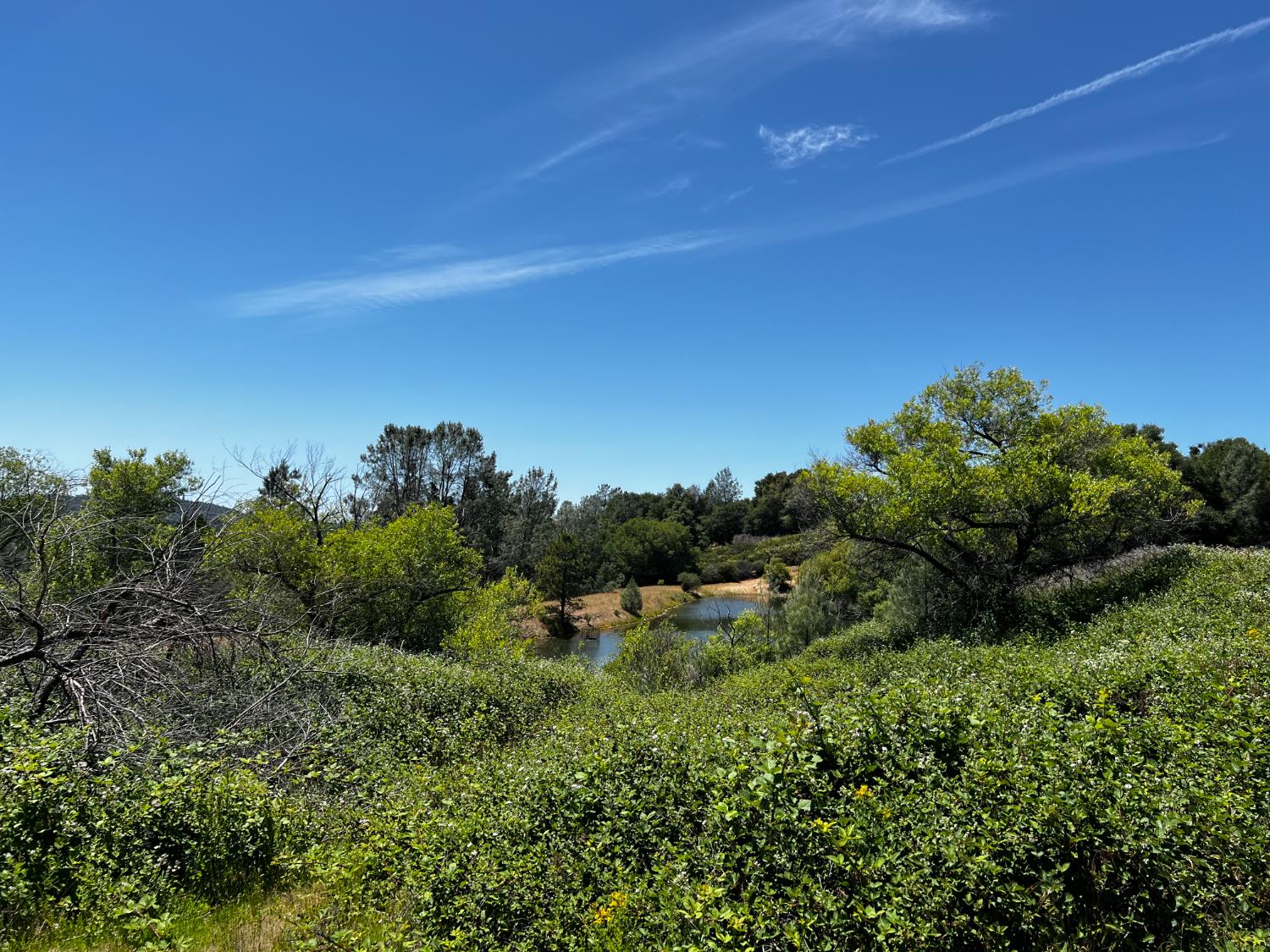 Detail Gallery Image 46 of 57 For 7300 Fairplay Rd, Somerset,  CA 95684 - – Beds | – Baths