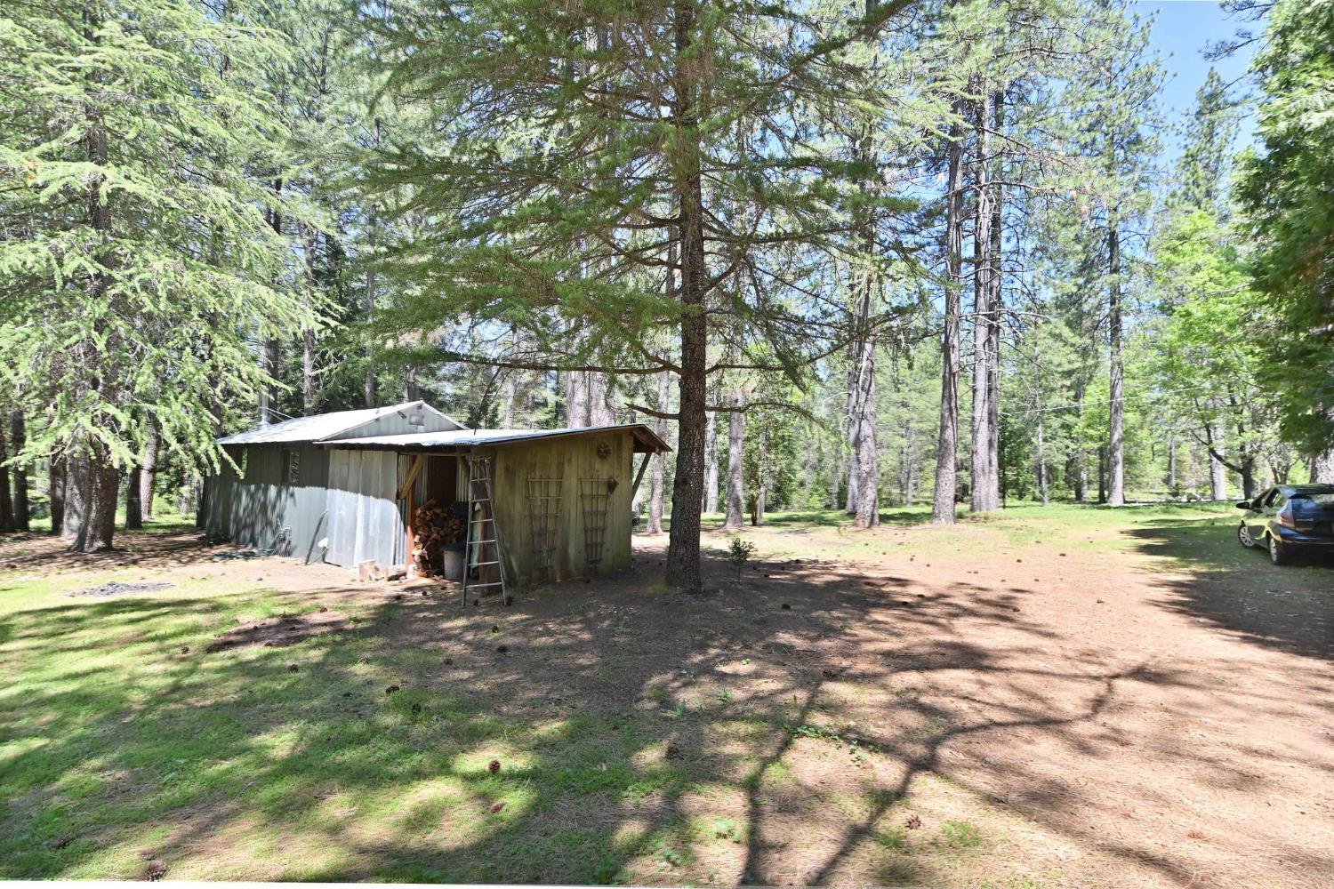Detail Gallery Image 28 of 31 For 1216 Railroad Flat Rd, Mokelumne Hill,  CA 95245 - 1 Beds | 1 Baths