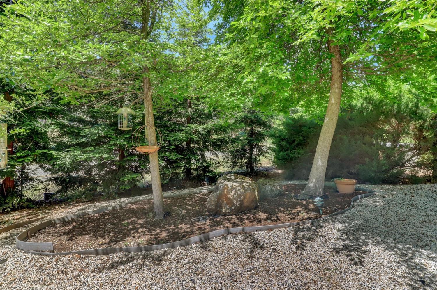 Detail Gallery Image 54 of 98 For 23158 Lone Pine Dr, Auburn,  CA 95602 - 4 Beds | 4 Baths