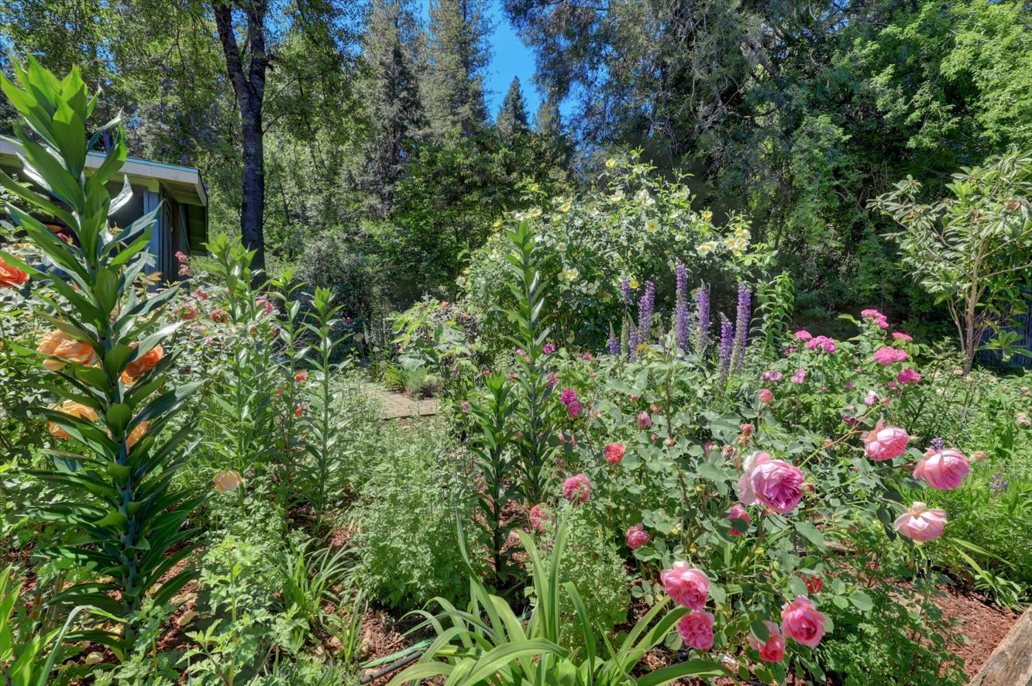 Detail Gallery Image 63 of 69 For 10808 Footwall Dr, Grass Valley,  CA 95945 - 2 Beds | 2/1 Baths