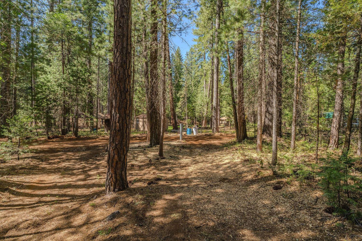 Detail Gallery Image 33 of 35 For 19375 Cherokee Ln, Volcano,  CA 95689 - – Beds | – Baths