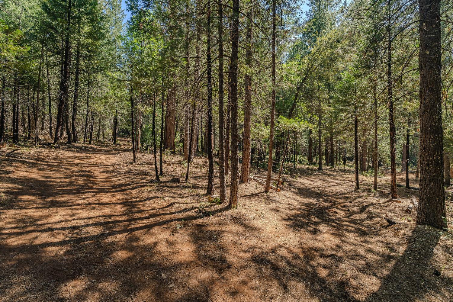 Detail Gallery Image 32 of 35 For 19375 Cherokee Ln, Volcano,  CA 95689 - – Beds | – Baths
