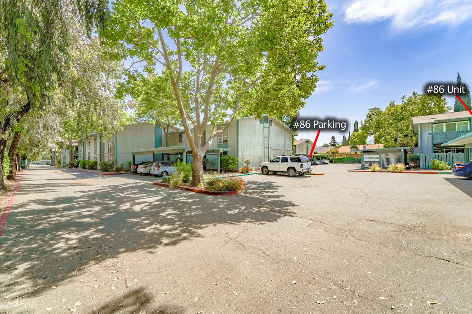 Detail Gallery Image 3 of 31 For 1036 Oak Grove Rd #86,  Concord,  CA 94518 - 1 Beds | 1 Baths