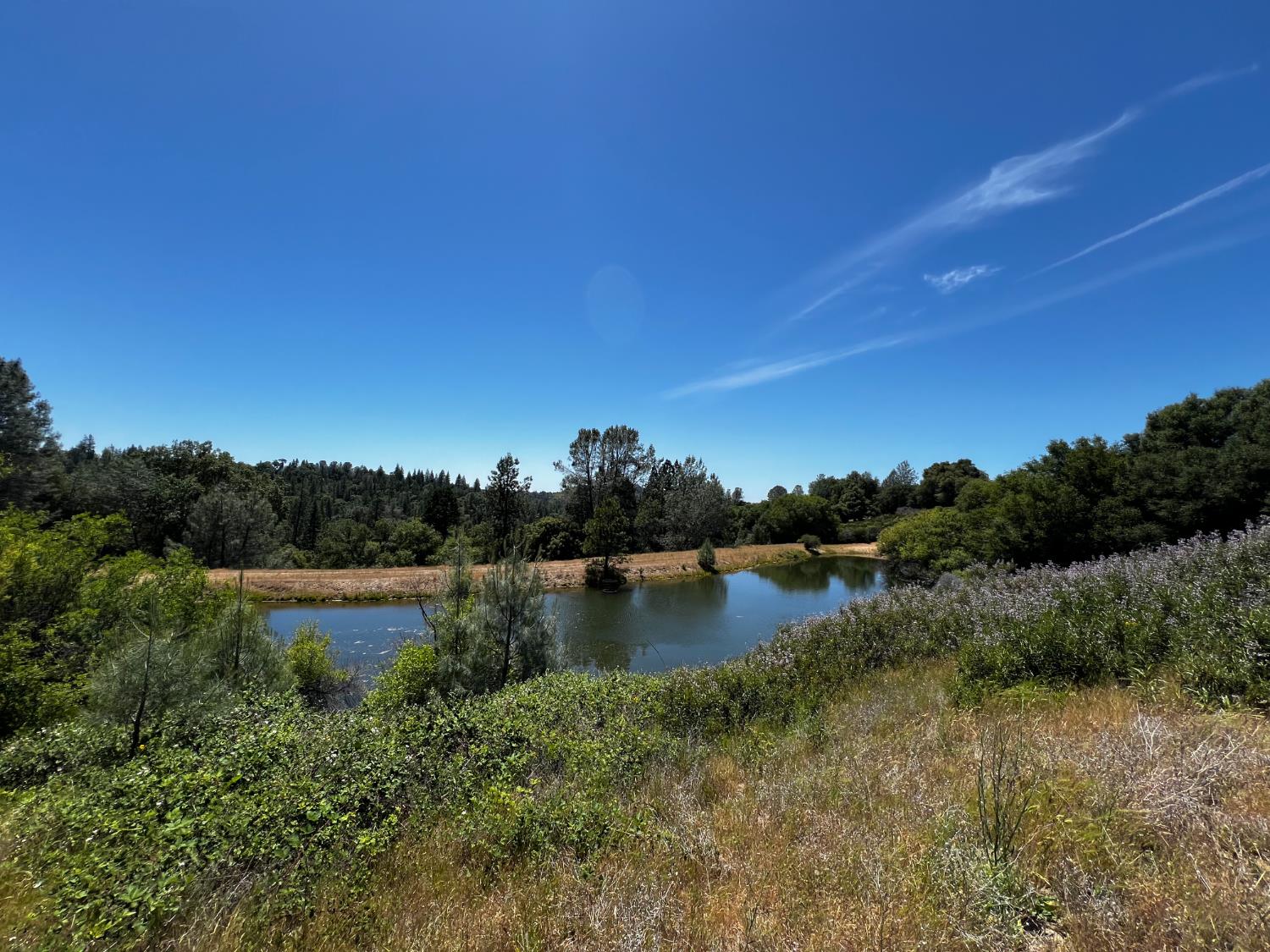 Detail Gallery Image 42 of 57 For 7300 Fairplay Rd, Somerset,  CA 95684 - – Beds | – Baths