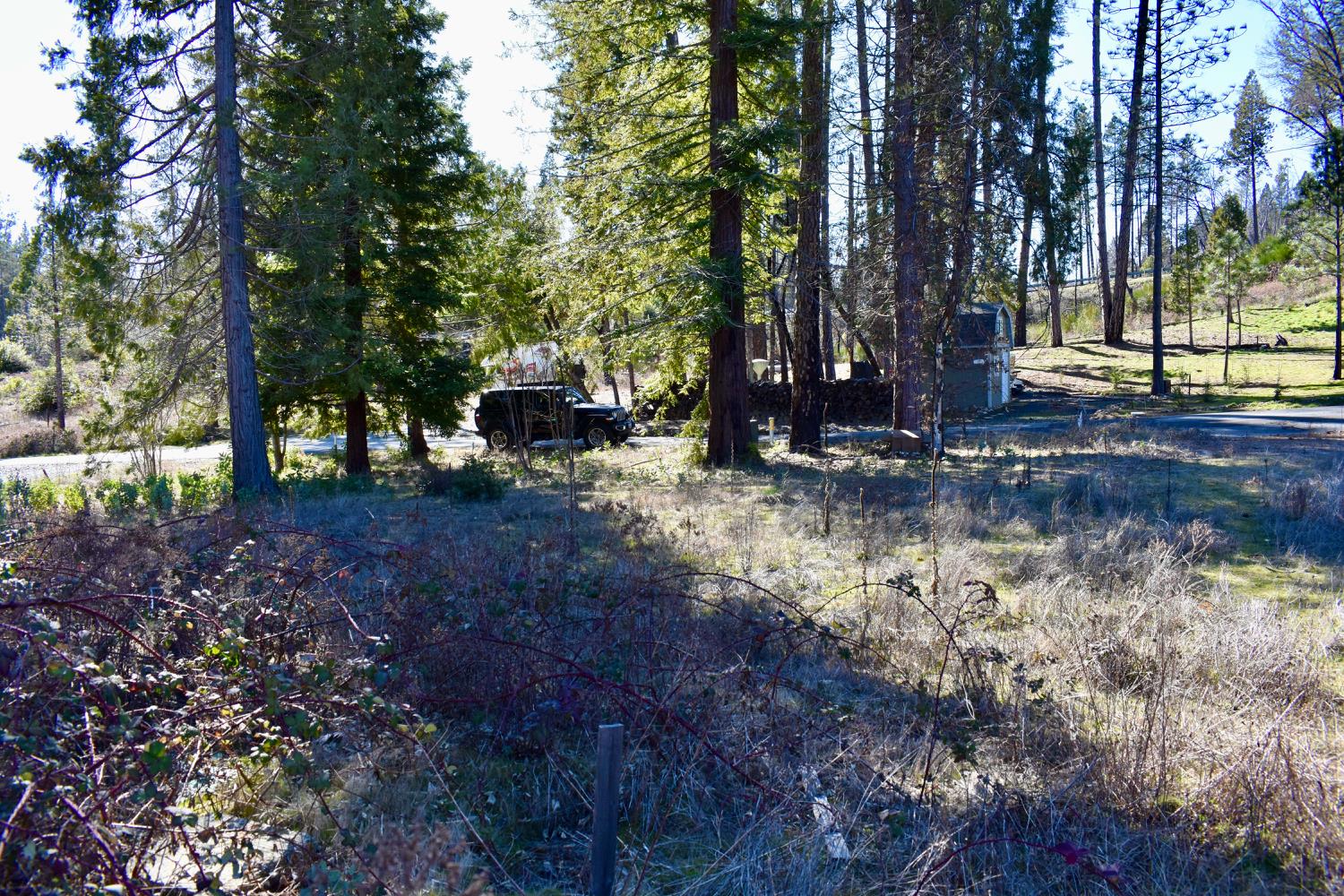 Detail Gallery Image 15 of 30 For 20 Sw Meadow Ln, Berry Creek,  CA 95916 - – Beds | – Baths