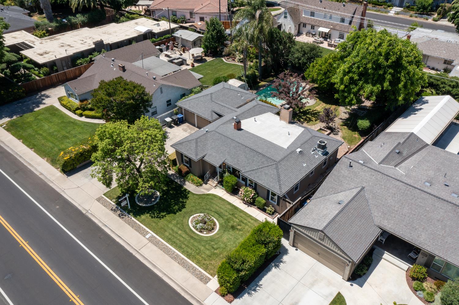 Sycamore, Modesto, California image 9