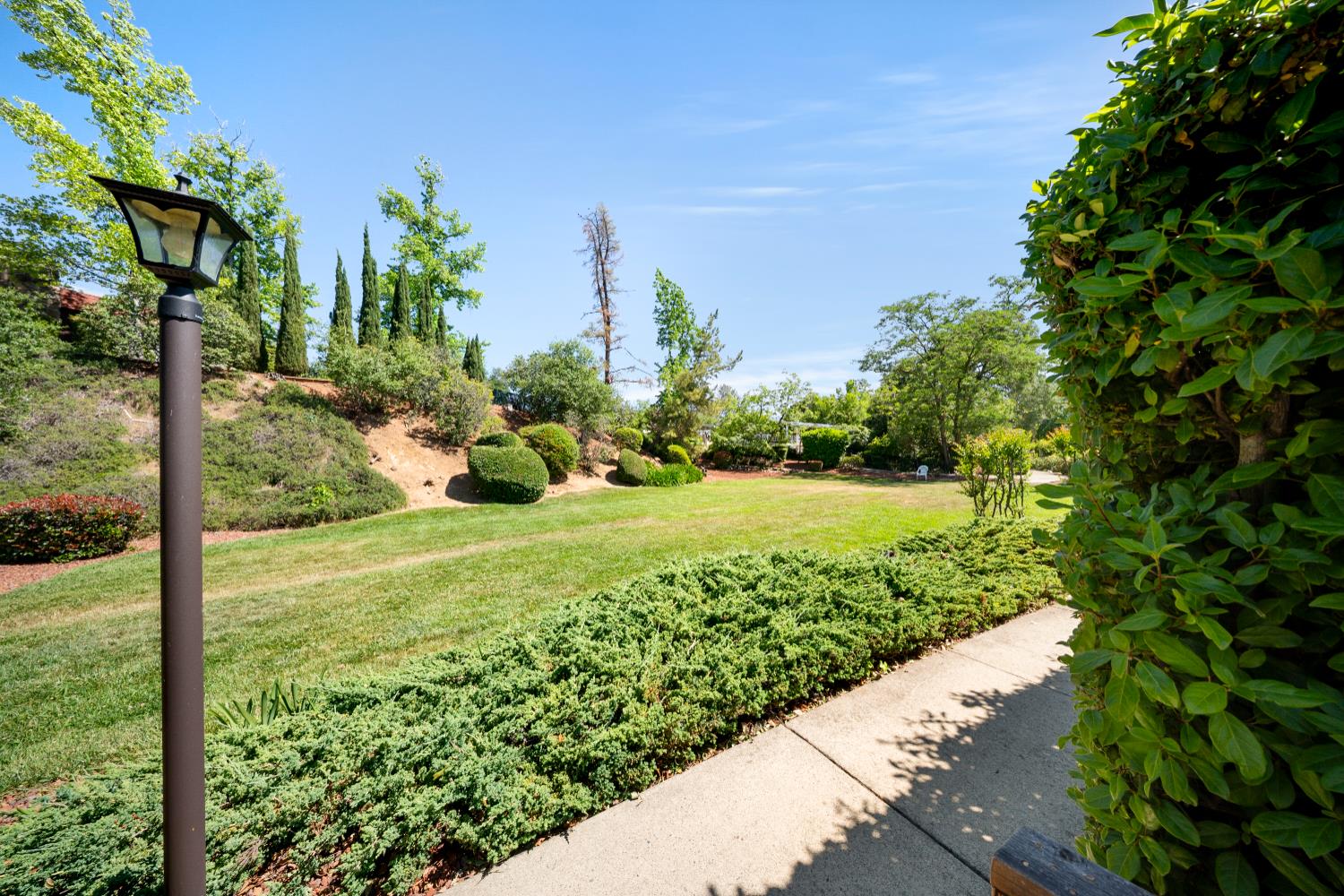 Detail Gallery Image 36 of 42 For 2681 Cameron Park Dr 156, Cameron Park,  CA 95682 - 3 Beds | 2 Baths