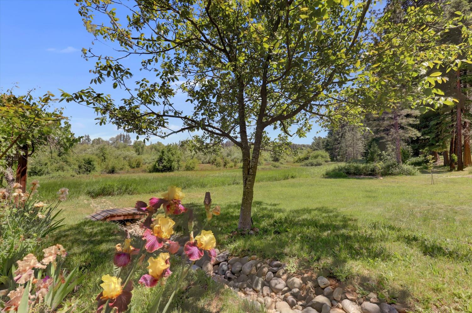 Detail Gallery Image 55 of 69 For 10808 Footwall Dr, Grass Valley,  CA 95945 - 2 Beds | 2/1 Baths