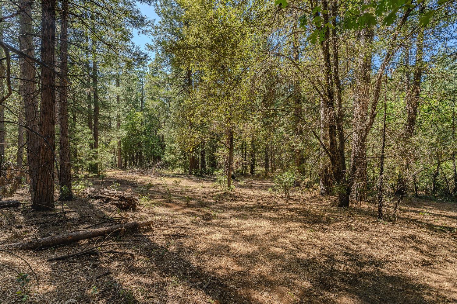 Detail Gallery Image 28 of 35 For 19375 Cherokee Ln, Volcano,  CA 95689 - – Beds | – Baths