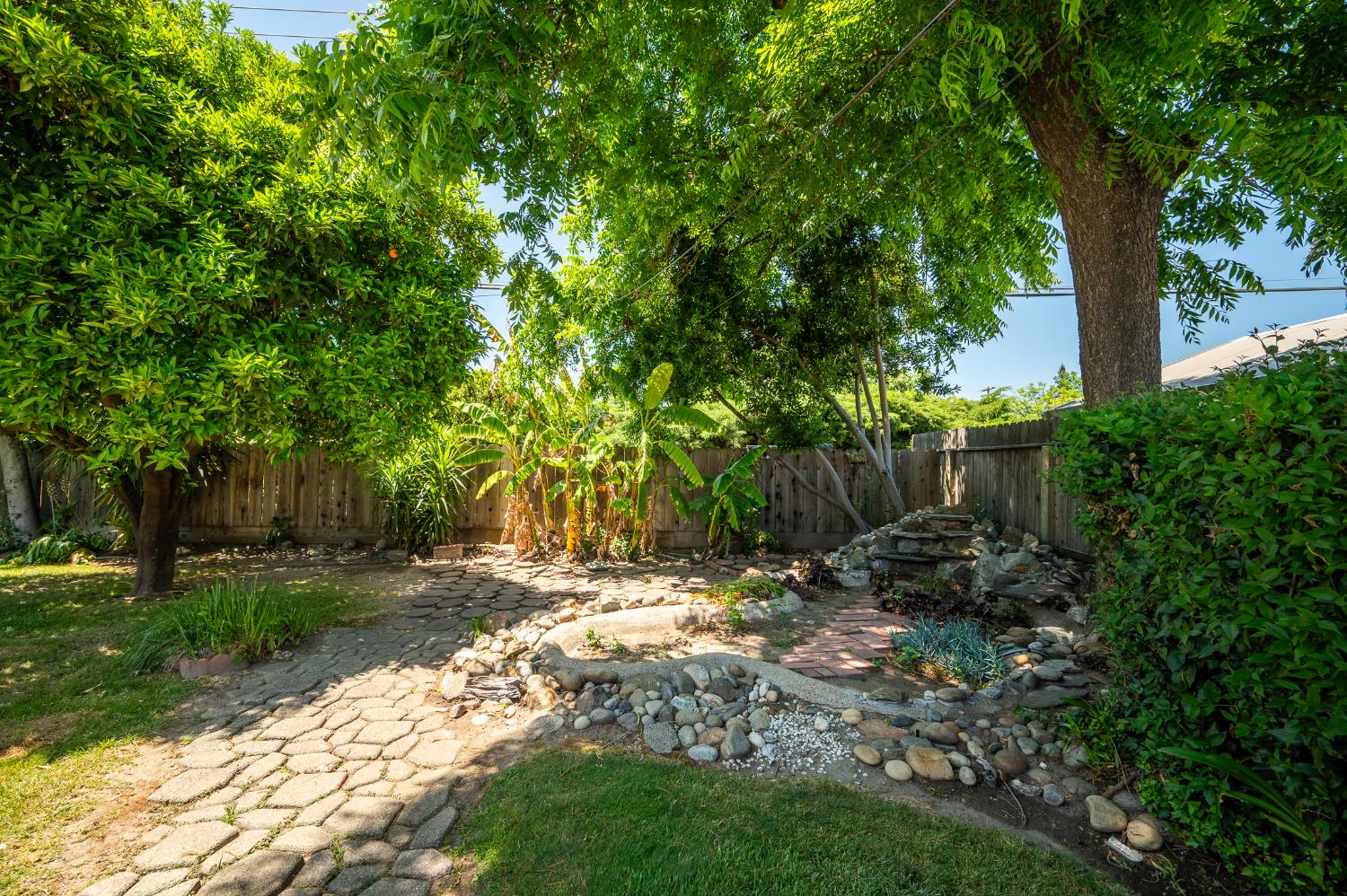 Sycamore, Modesto, California image 40