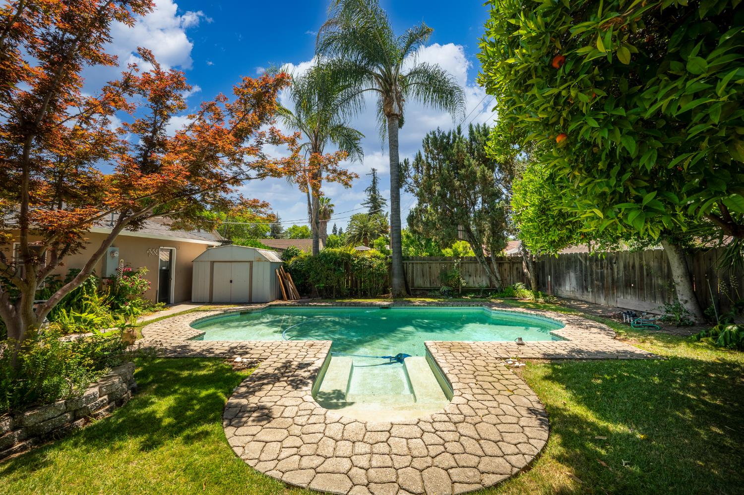Sycamore, Modesto, California image 37