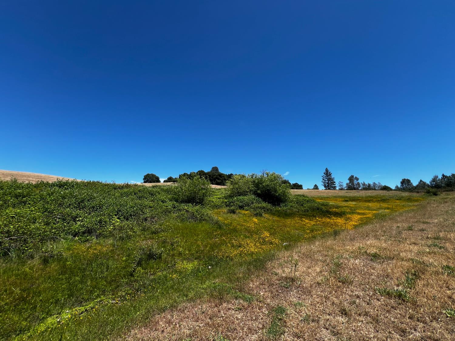 Detail Gallery Image 44 of 57 For 7300 Fairplay Rd, Somerset,  CA 95684 - – Beds | – Baths
